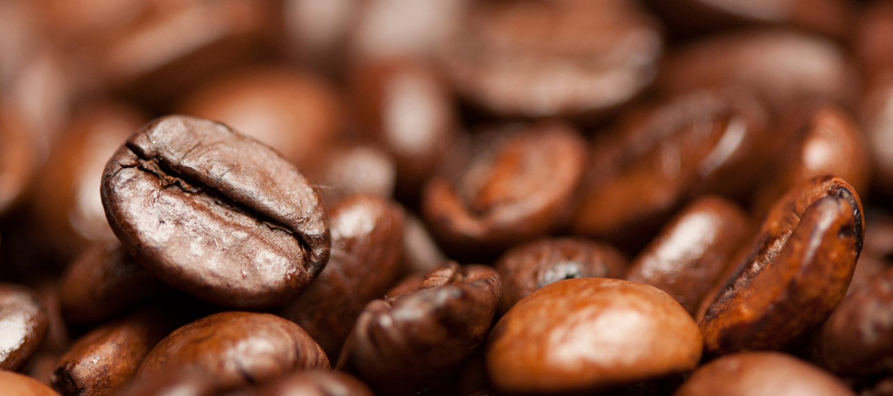 Grupo Mariana - Exports - Coffee